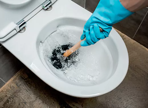 Drain Power Flush Services in Georgetown, ON